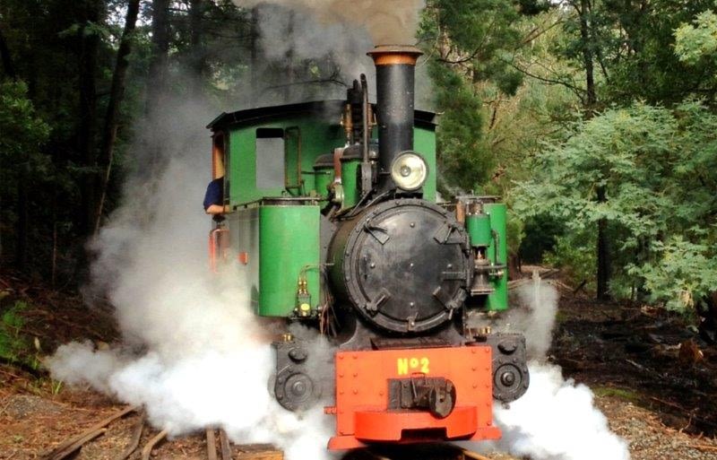 Steam train at Coal Creek