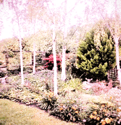 Past Events • 24 February, 2021 image 3