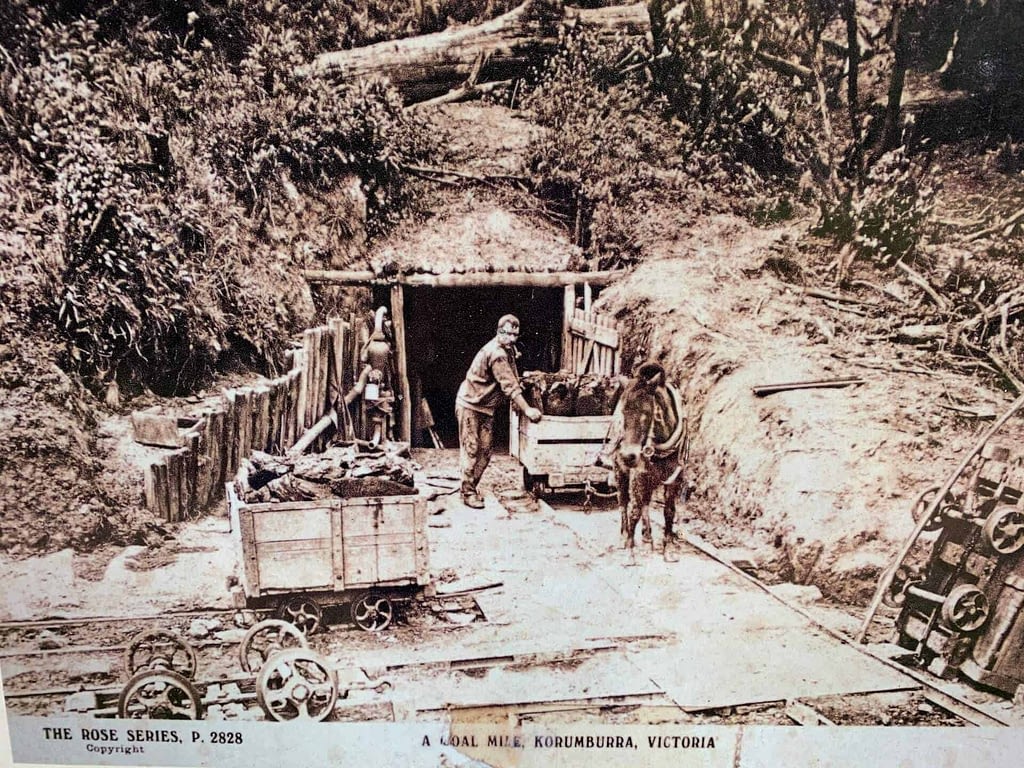 historic coal mine likely in Richies Reserve Korumburra