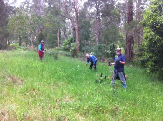 Friends of Richies Reserve Working Bee - November 2020 • 24 February, 2021 friends of ritchies reserve volunteers