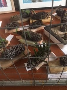 the Korumburra Show • 24 February, 2021 Korumburra Show 2017 - crafts