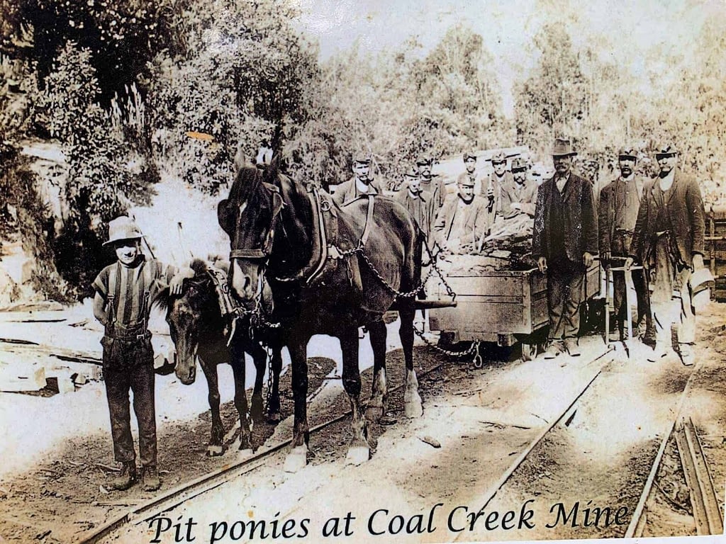 pit ponies at Coal Creek korumburra