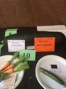 the Korumburra Show • 24 February, 2021 Korumburra Show 2017 - vegetables
